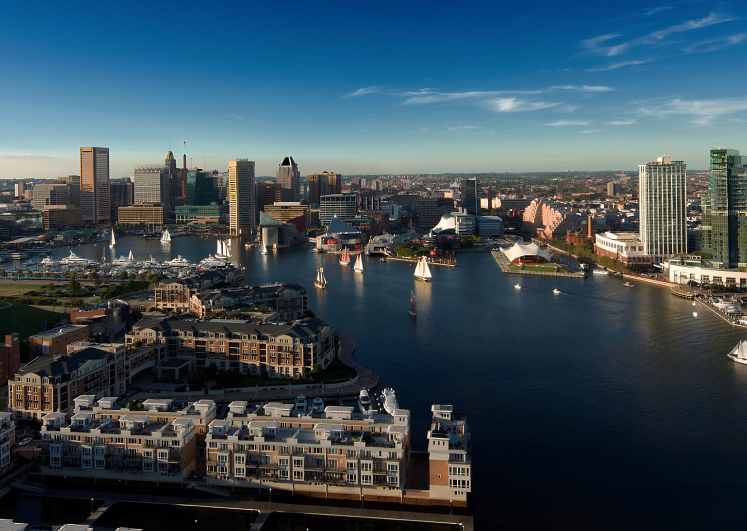 contact backgroundV2